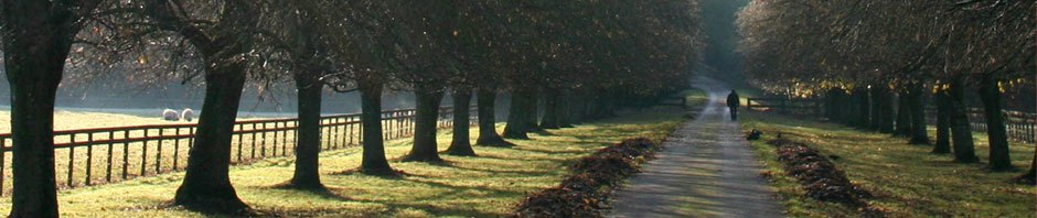Meersbrook Park Users Trust